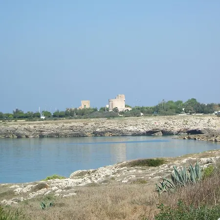 Aurora's House